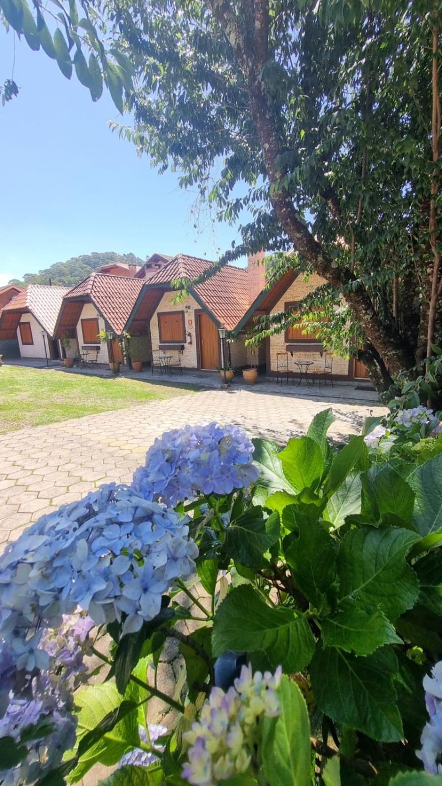 Pousada Vilas Di Espanha Monte Verde  Eksteriør billede
